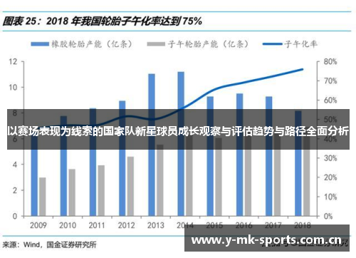 以赛场表现为线索的国家队新星球员成长观察与评估趋势与路径全面分析